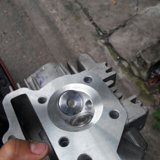 Vỏ đầu chảo hột xoài