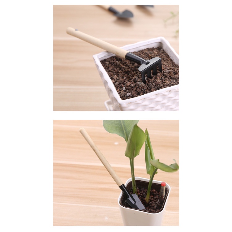 Bộ Xẻng Cào Mini trồng cây cảnh 3 Món (21cm)
