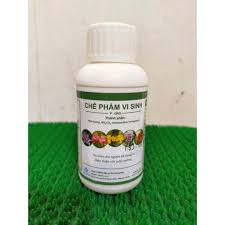 Chế Phẩm Vi Sinh Hữu Cơ P-GRO Trừ Nấm Sâu Bệnh