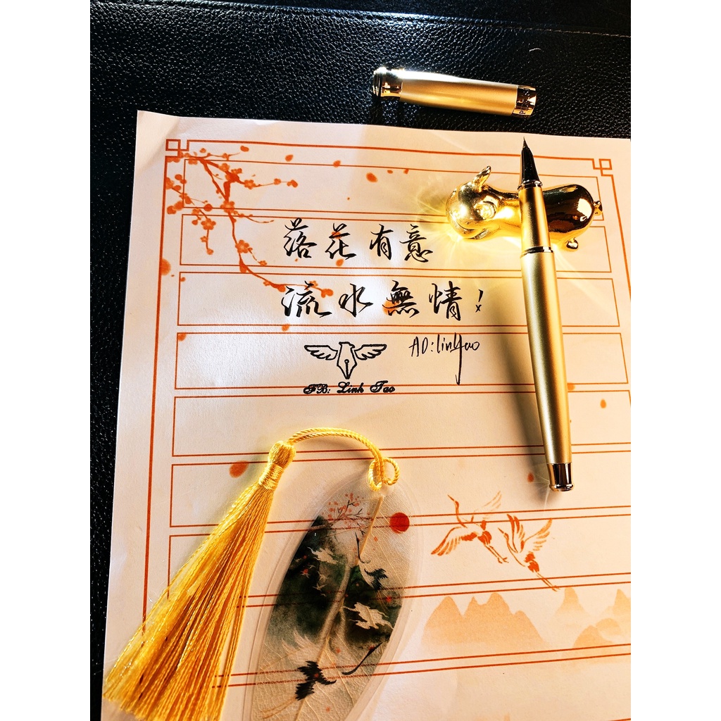 Bút Máy cao cấp ngòi kín cong hành thư đẹp 0.7m - TLBM10