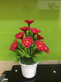 Hoa vải voan