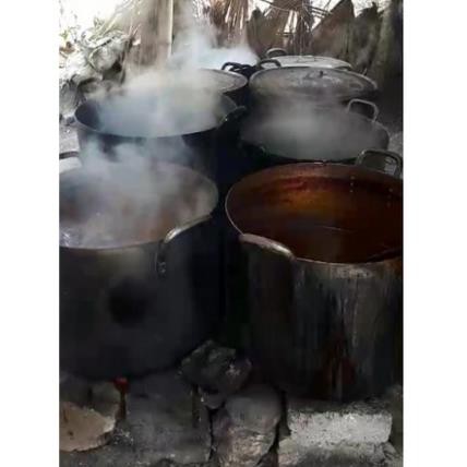 Cao Dạ Cẩm người Tày