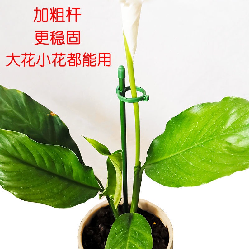 Giá Đỡ Hỗ Trợ Cây Leo Chống Đứt Tiện Dụng Cho Sân Vườn / Ngoài Trời