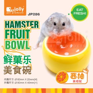Chén ăn sứ kiểu trái cây cho Hamster