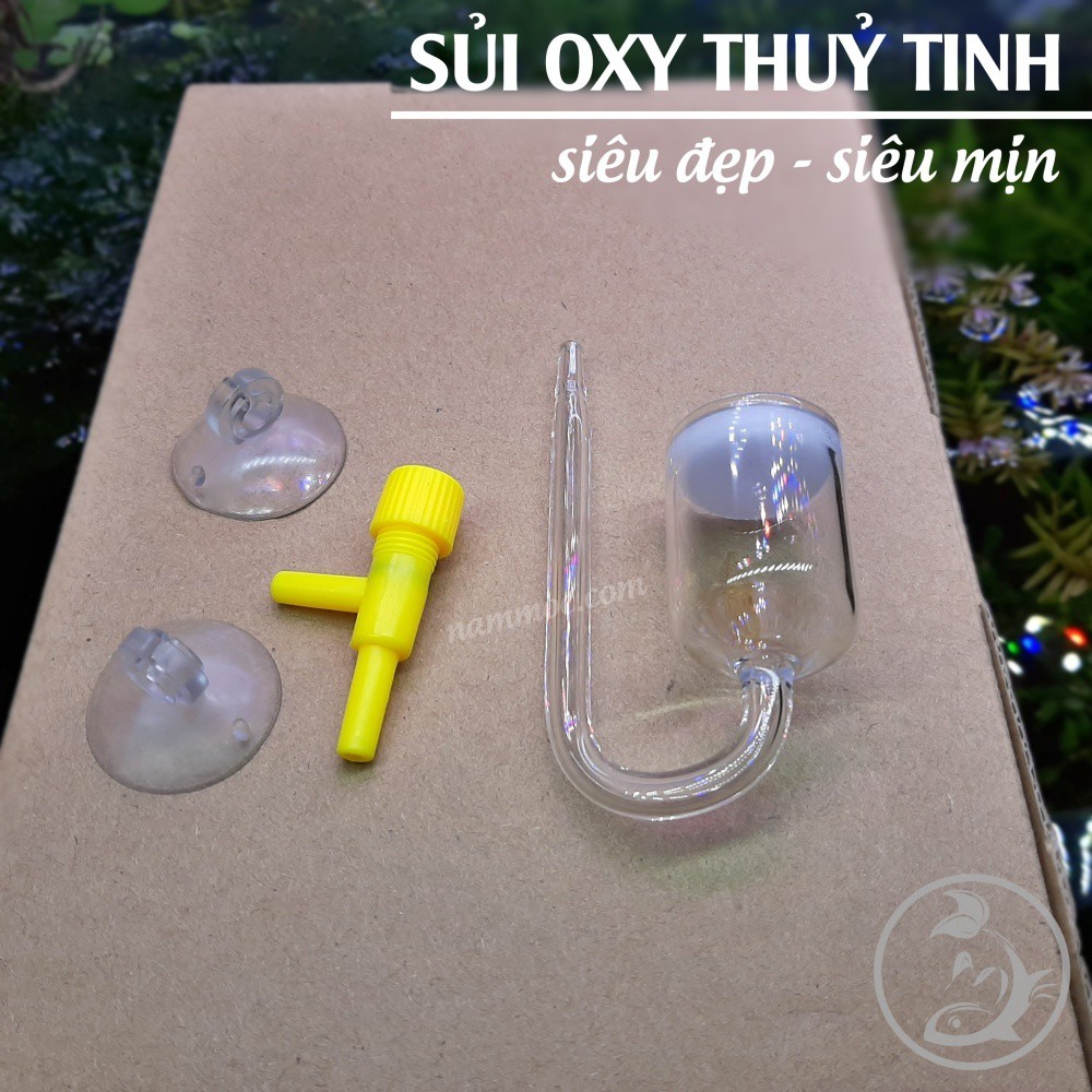 Cốc Sủi Oxy Thuỷ Tinh Siêu Mịn - Siêu Đẹp | Cốc Sủi Thuỷ Tinh Siêu Mịn Dùng Được Cho Nhiều Loại Máy Oxy