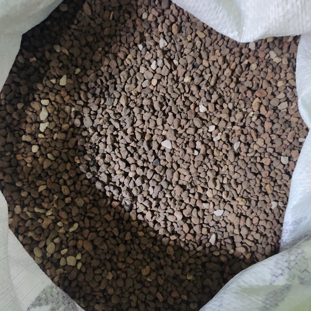 500g đá Pumice trồng sen đá, xương rồng