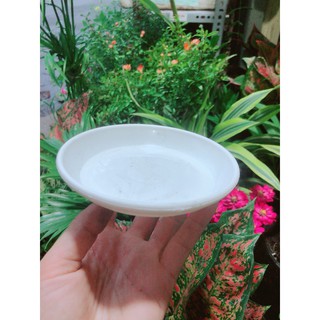 Đĩa Lót Chậu (đường kính 12cm)