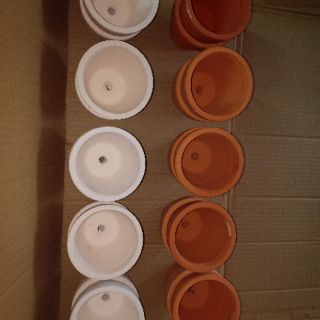 Chậu đất nung 9cm x 9cm