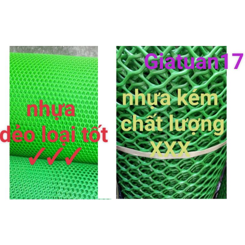 Lưới nhựa xanh lá  vây gà vịt