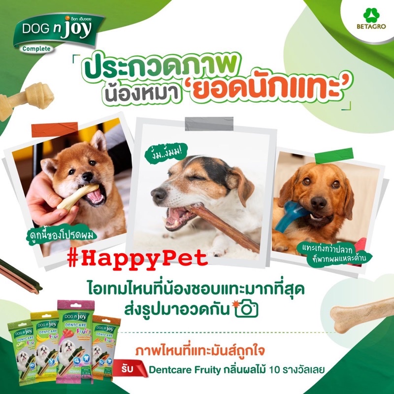 Xương Gặm vệ sinh Răng Miệng cho Chó Denta Dognjoy Thái Lan