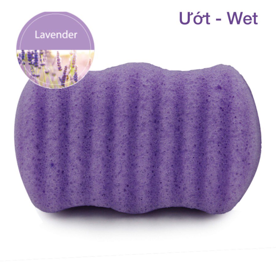Bông tắm konjac từ khoai nưa tự nhiên, mềm mại, an toàn, dịu nhẹ, nâng niu làn da bạn