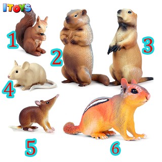 Mô hình các loại động vật gặm nhấm sóc, chuột siêu đẹp ITOYS