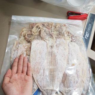 MỰC KHÔ sz 15-17 con 1kg