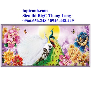 Tranh thêu chữ thập 2 con công và hoa mẫu đơn phu thê viên mãn 88917 chưa thêu