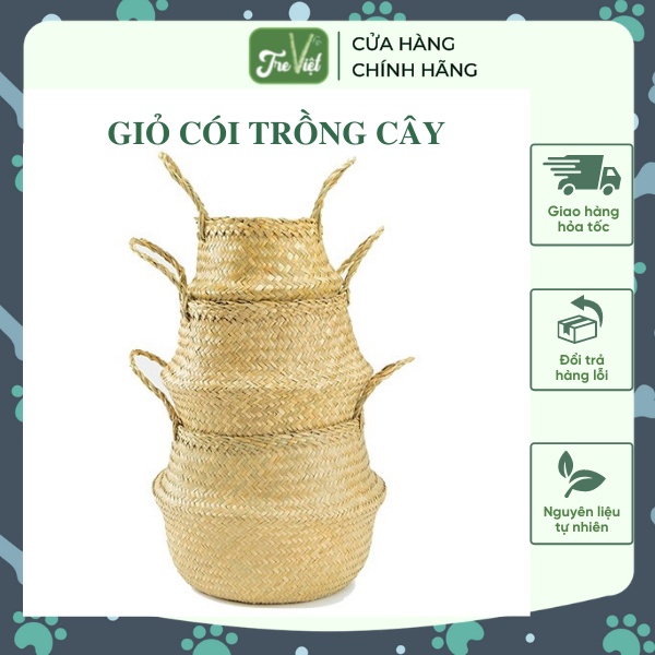 Giỏ Cói Đựng Đồ - Chậu Cói Trồng Cây - Sedge Basket | Tre Việt