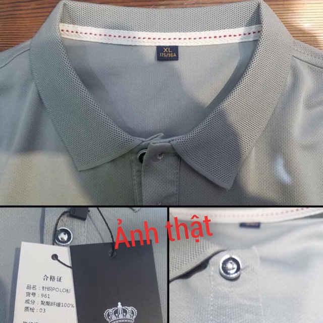Áo polo nam