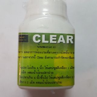 Sình bụng phân trắng cho cá CLEAR Thái