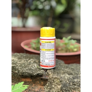Siêu phóng đọt bật chồi mập cọng TD 90-Úc -100ml