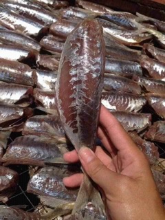 Cá nục 1 nắng
