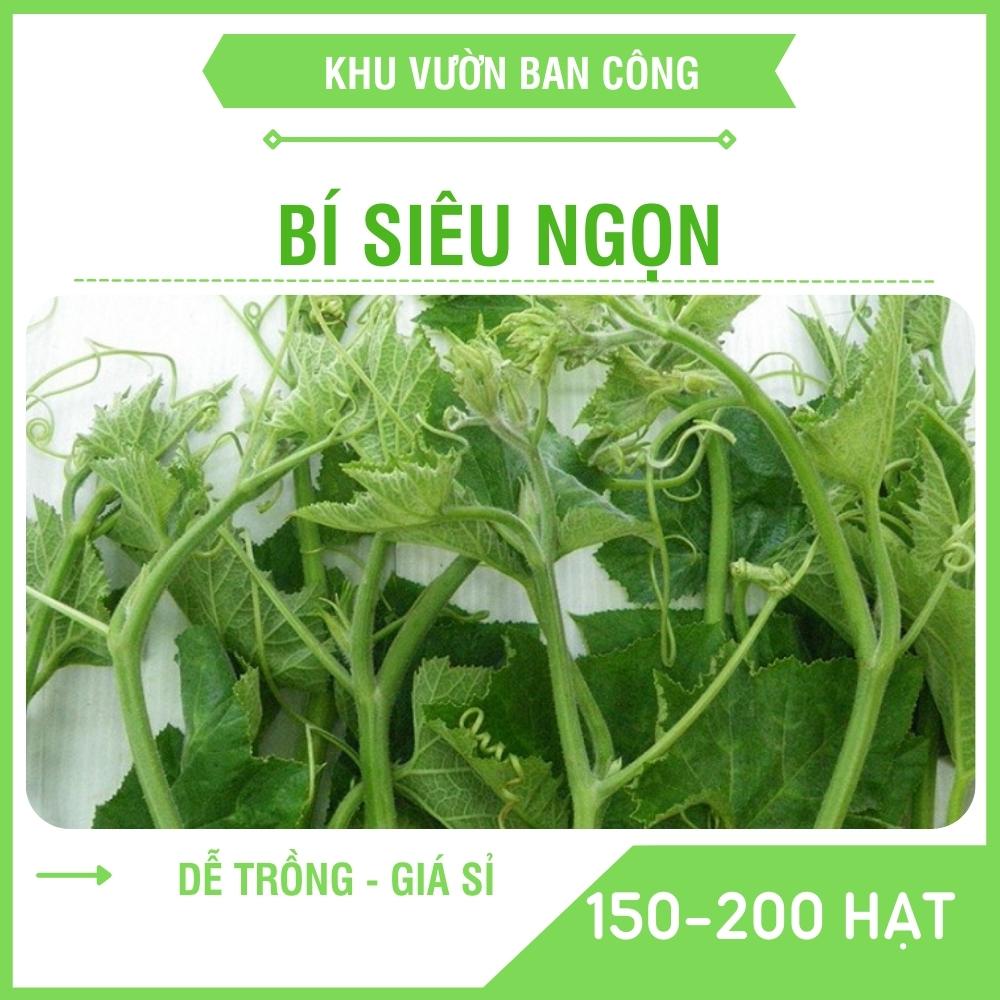 Hạt Giống Rau Bí Siêu Ngọn Năng Xuất Cao, Dễ Trồng Nhanh Thu Hoạch 100-200 Hạt - Khu Vườn Ban Công
