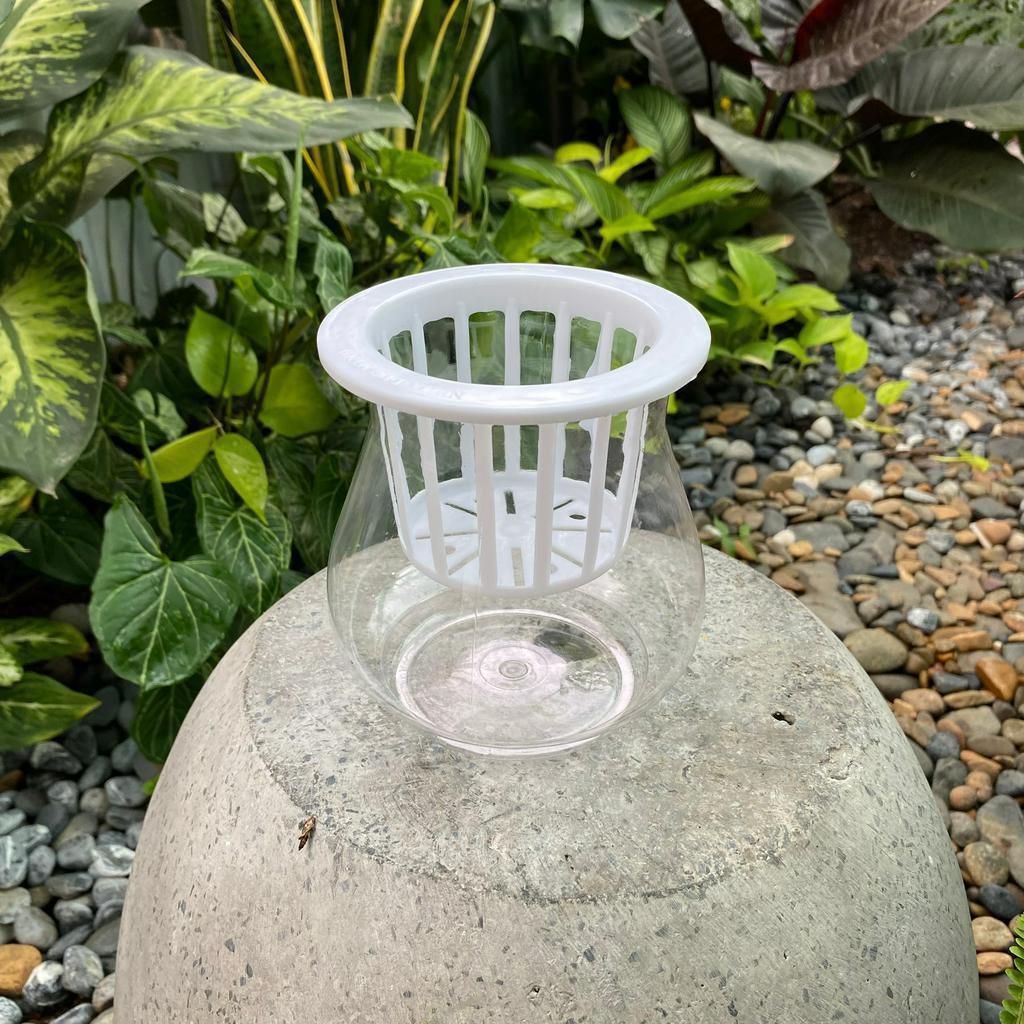 Bình nhựa thủy sinh Hatagarden