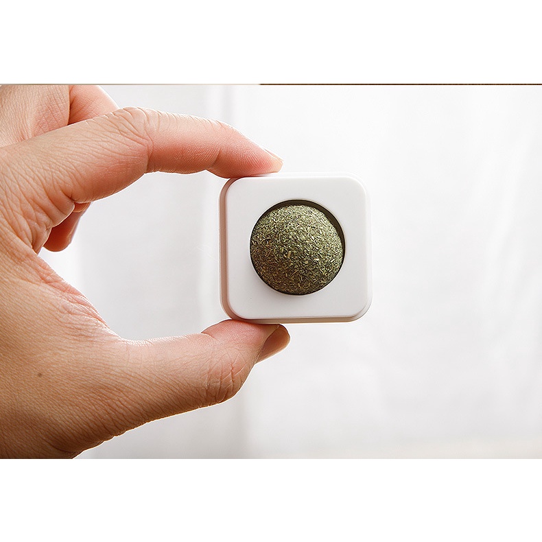 Viên catnip gắn tường cho mèo - Viên cỏ bạc hà giúp mèo chơi đùa giảm stress