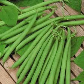 Com bo 4 gói hạt giống rau củ