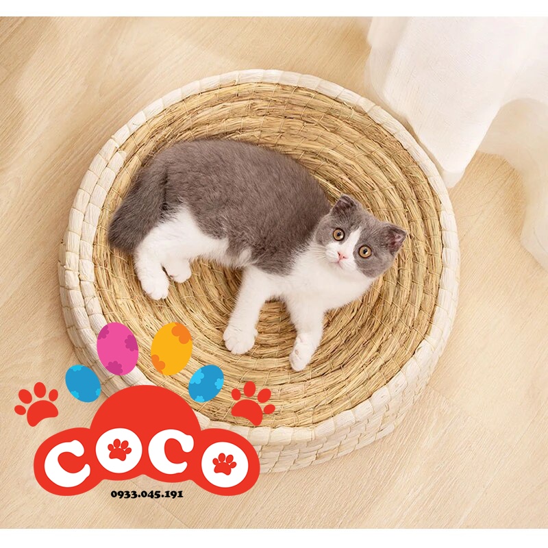 Bàn cào và nằm ngủ bằng rơm cho mèo