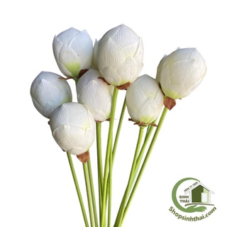 Cành nụ hoa sen giả màu trắng - cành sen vải lụa cao cấp