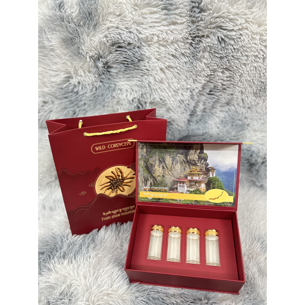 SET TÚI VÀ HỘP ĐỰNG ĐÔNG TRÙNG HẠ THẢO