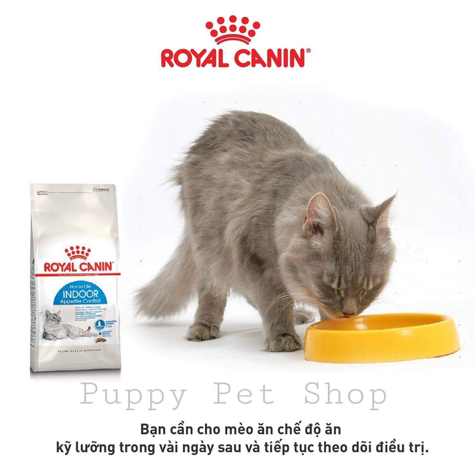 Thức ăn hạt cho mèo trưởng thành trong nhà - Royal Canin Indoor 27