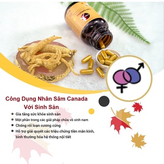 Viên nang Nhân sâm Canada CND GINSENG GOLD (Hộp 60 viên)