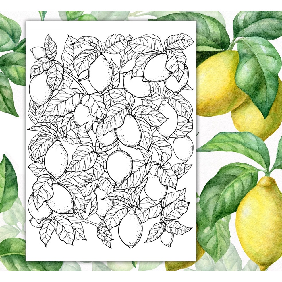 Tranh tô màu nước line art Flowers, bộ 12 tranh giấy dầy đẹp