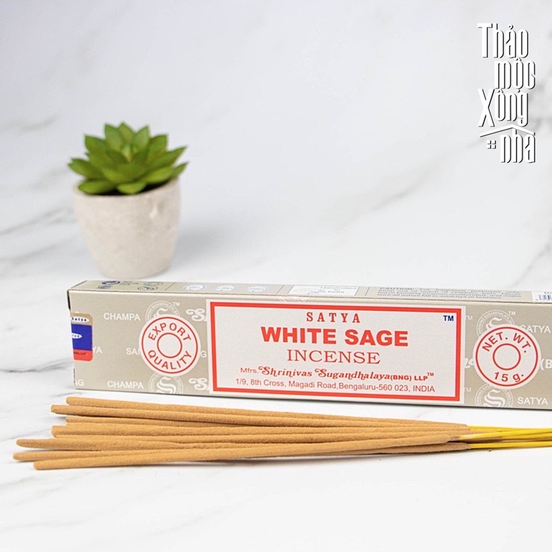 Thanh Hương Thanh tẩy bản thân, hương thơm hoàn hảo White Sage SATYA - THẢO MỘC XÔNG NHÀ