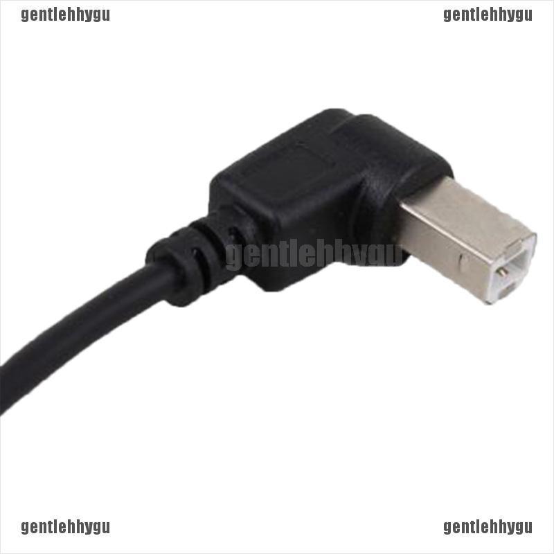 1 Phụ Kiện Chuyển Đổi Usb Type B Male Sang Usb B Female