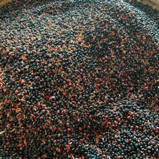 Đậu đen xanh lòng gạo lứt nhà rang sẵn 1kg