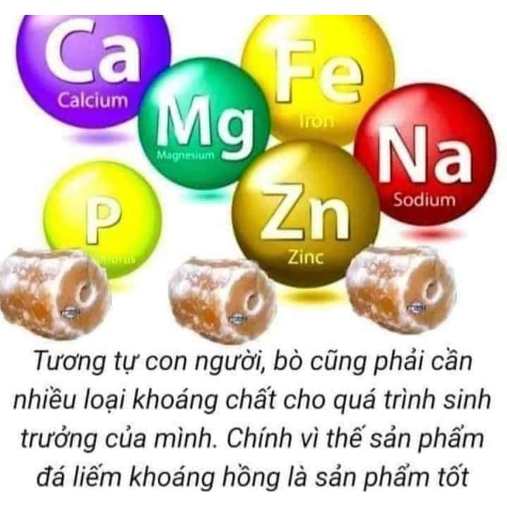 Đá Liếm Khoáng