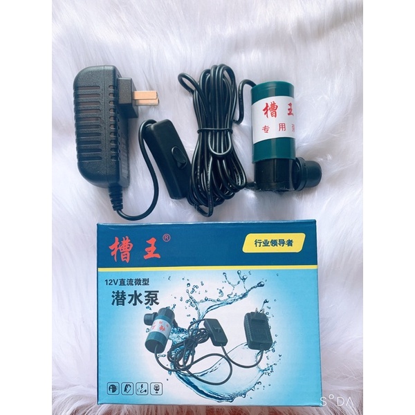 MÁY BƠM MINI 12V CAOWANG NGUỒN ĐẠI