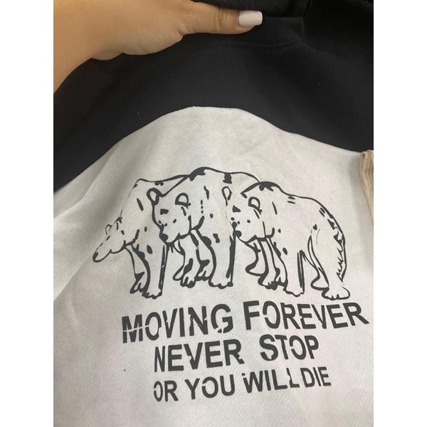 Set nỉ 3 con gấu , chất siêu xịn | BigBuy360 - bigbuy360.vn