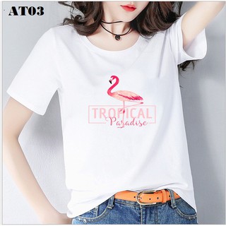 Áo thun nữ Cotton Cool ngầu co giãn 4 chiều Pink AT03
