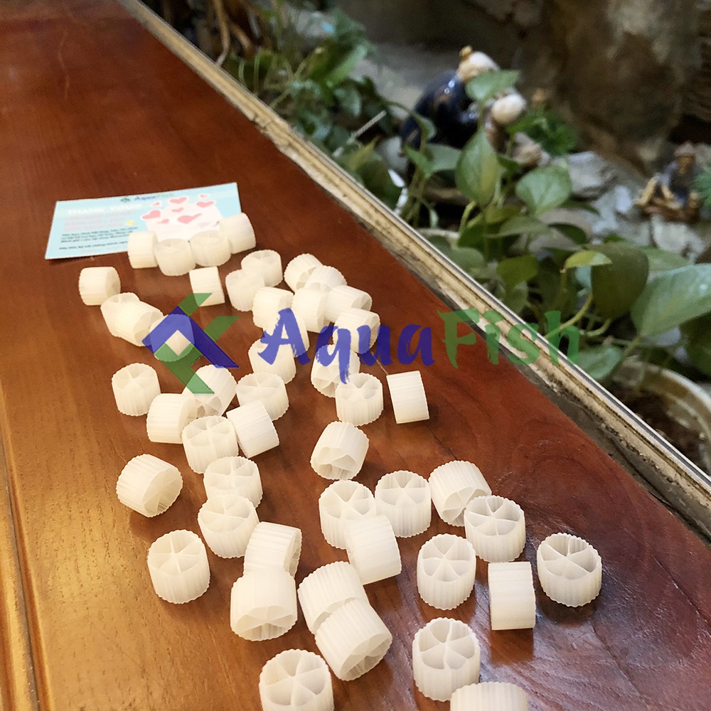Vật Liệu Lọc Cho Bể Cá Hạt Lọc Kaldnes 1kg (giá thể cho vi sinh cư trú giúp lọc và làm trong nước)