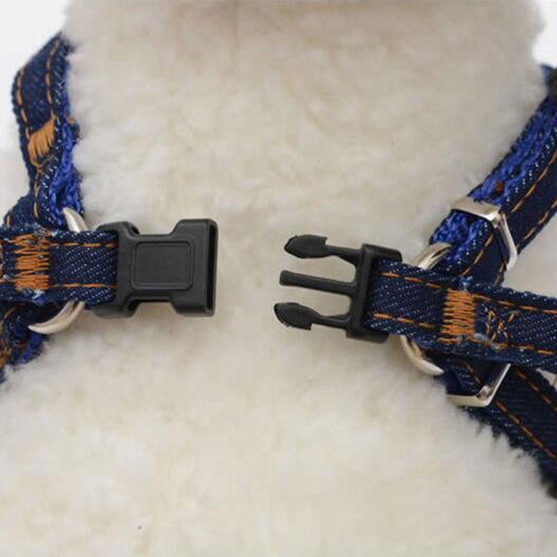 Dây dẫn mèo con cún cưng đi dạo chắc chắn