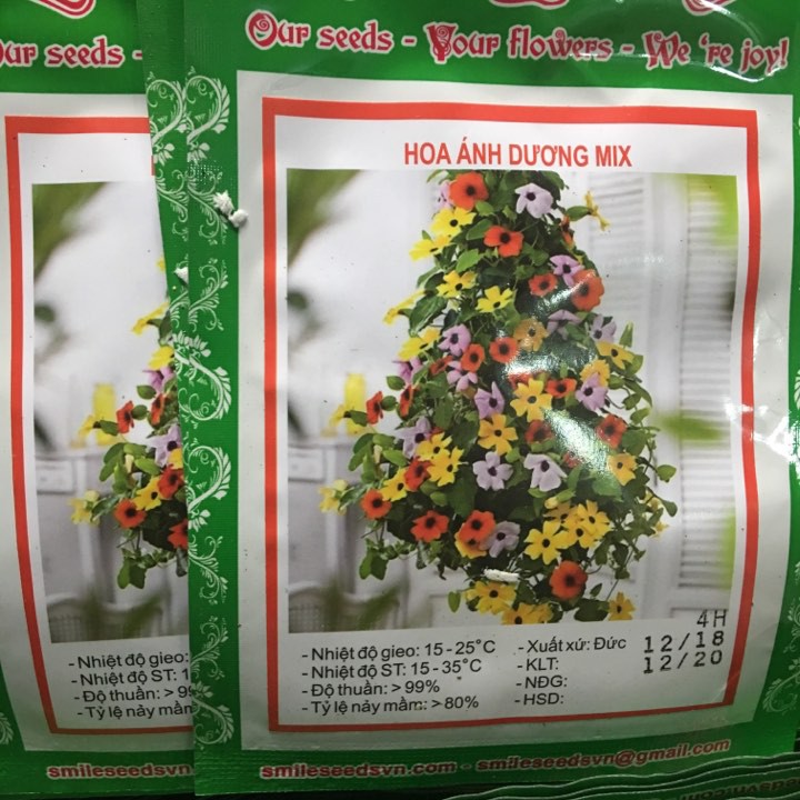 Hạt Giống Hoa Ánh Dương(cực dễ trồng) 4 hạt - [ Sỉ Lẻ ]