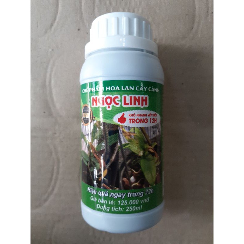 Chế phẩm đặc trị thối nhũn Ngọc Linh 12H A8 VIP chai 250ml