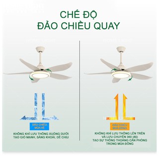 Quạt trần trang trí HomeFan HL-FAN089