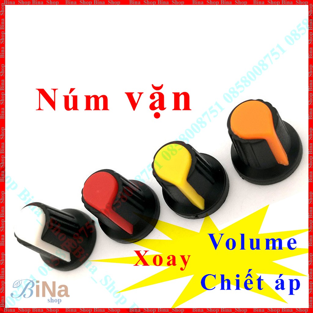 Mạch khuếch đại âm thanh PAM8403 6W (Núm nhựa mua riêng)