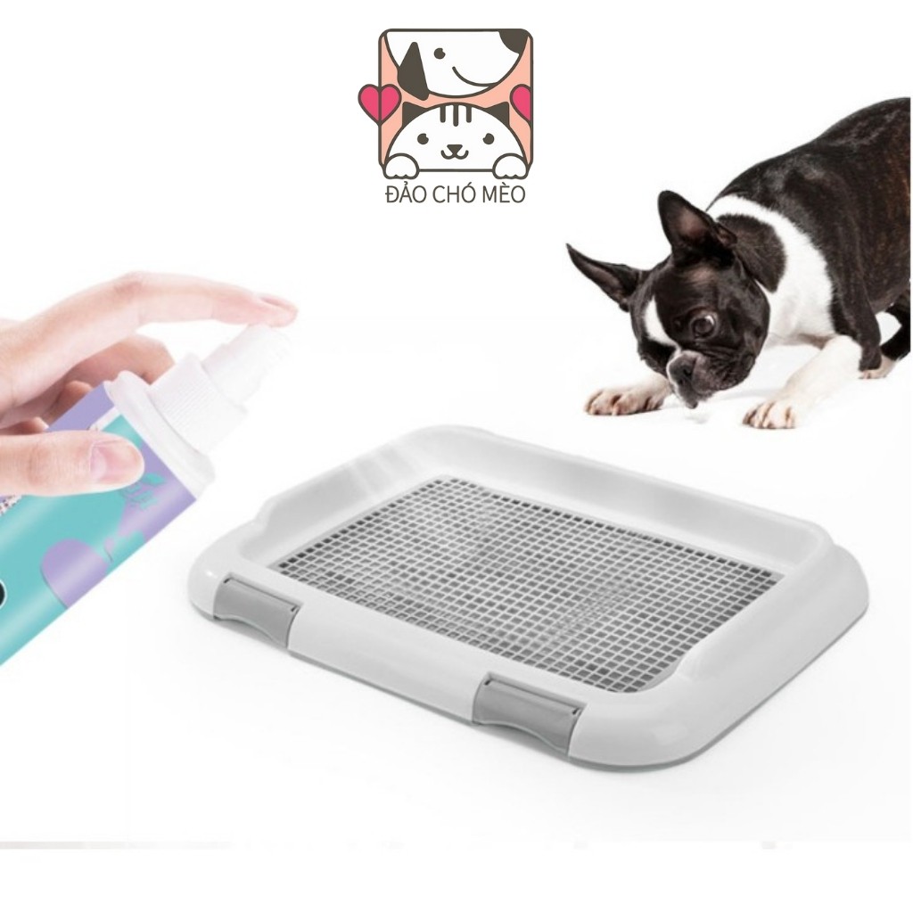 Xịt hướng dẫn vệ sinh đúng chỗ BoBo loại thế hệ mới - Xịt Bobo giúp chó mèo vệ sinh đúng chỗ - Đảo Chó Mèo