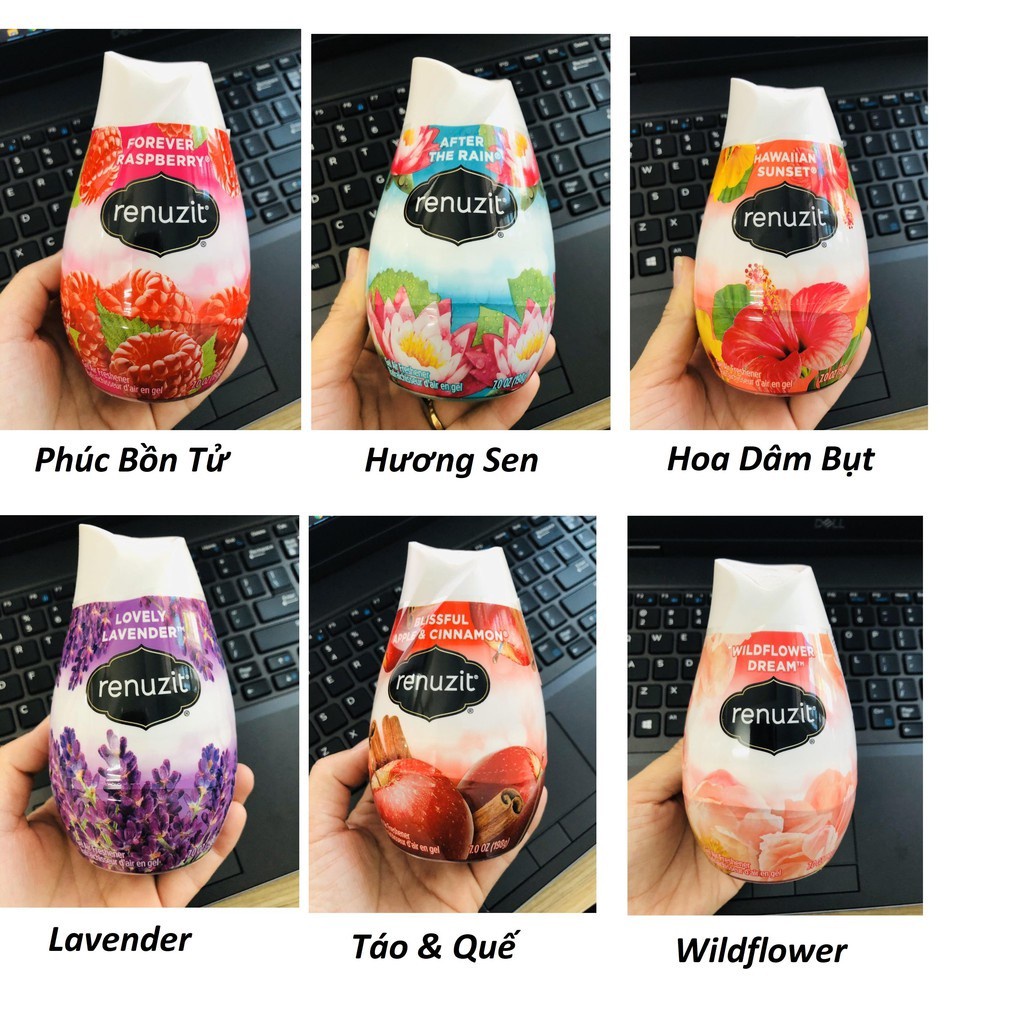 Sáp khử mùi Sáp thơm Renuzit 198g Mỹ Xáp thơm