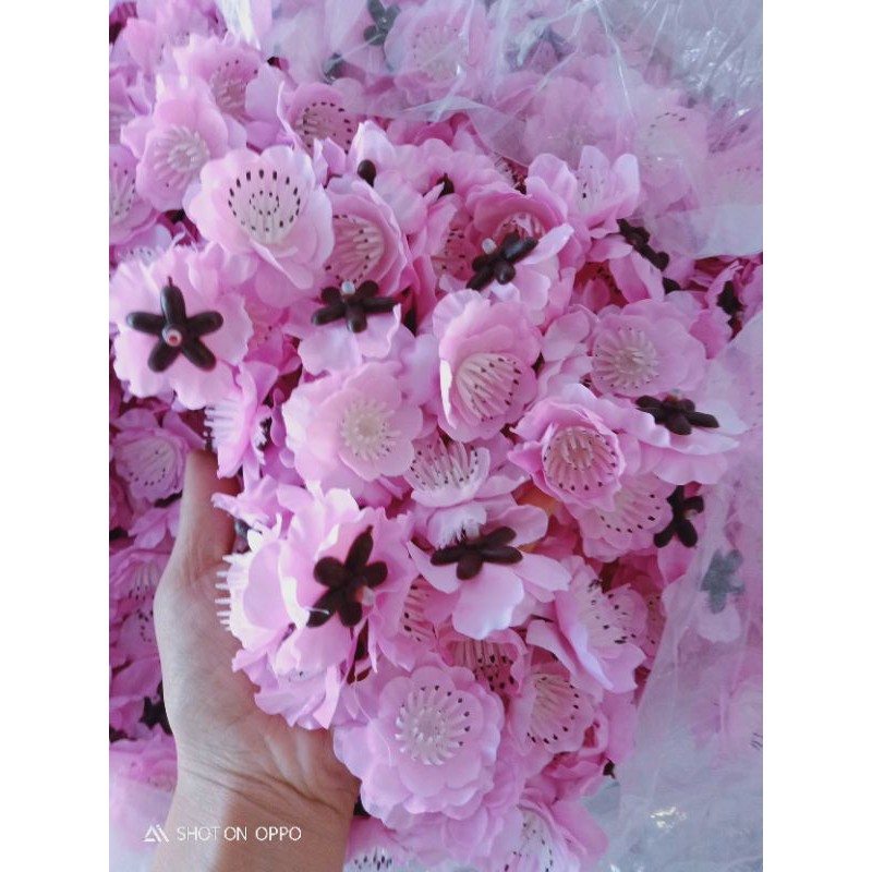 hoa anh đào rời1kg