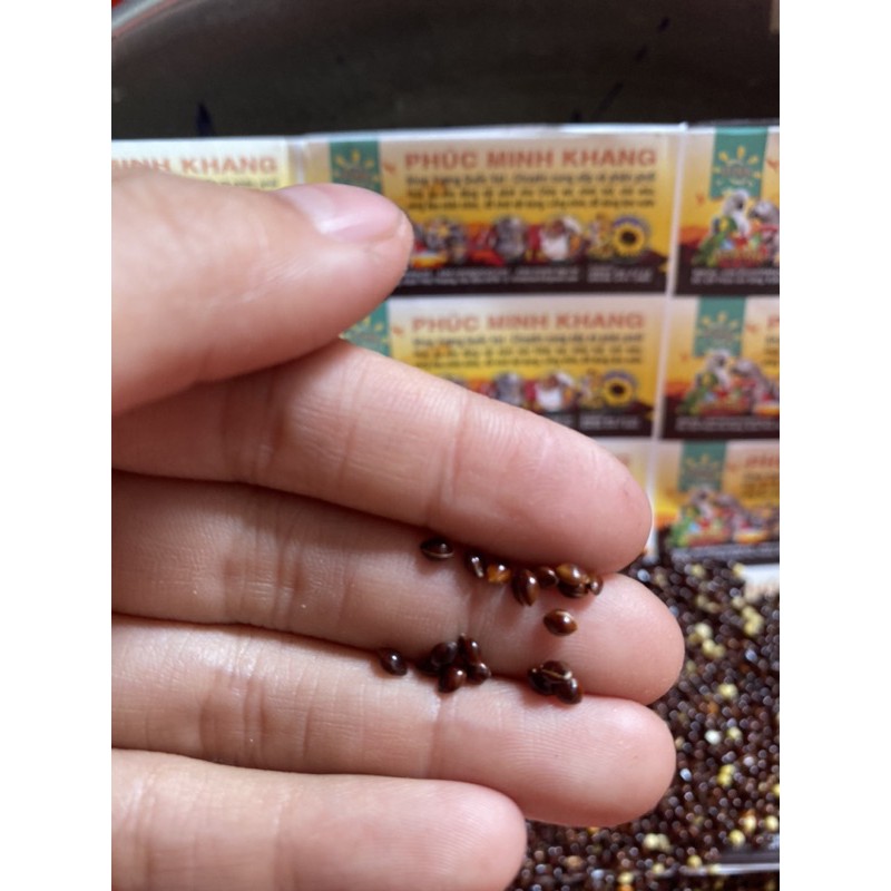 Hạt kê đen,sạch,chất lượng,thức ăn tốt nhất cho chim cảnh và hamter gói 1kg